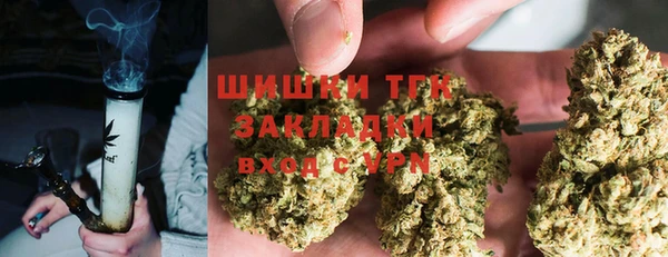 прущая мука Арсеньев