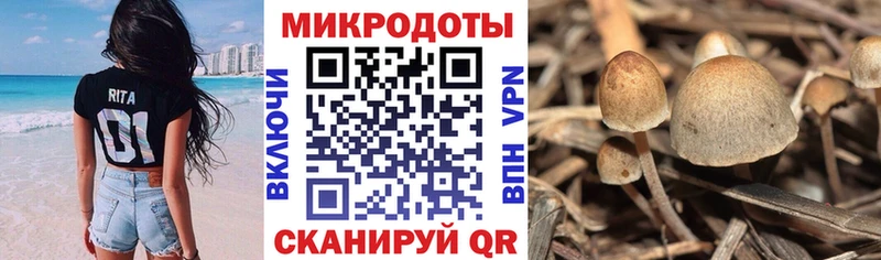 как найти закладки  Армянск  гидра как зайти  Псилоцибиновые грибы MAGIC MUSHROOMS 